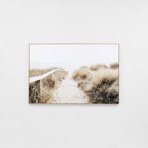 Coastal Wandering | Framed Canvas