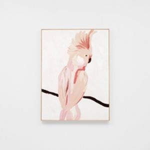 Cockatoo Portrait Blush 1 | Framed Canvas