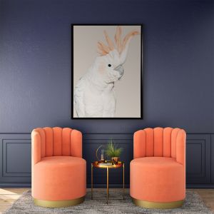 Cockatoo Tango | Framed Canvas Art Print
