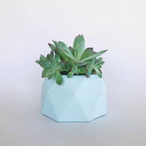 Concrete Planter | Jewel - Mint | by Coral and Herb