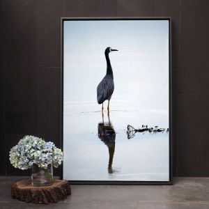 Crane Heron - Stand Tall | Framed Photograph by Amelia Anderson