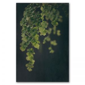 Dark Foliage 1 | Art print by Natascha van Niekerk | Unframed