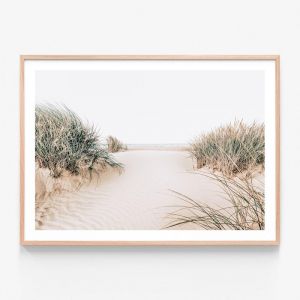 Dune Entrance | Framed Print | 41 Orchard