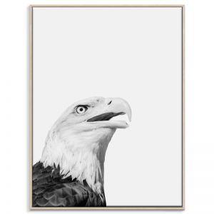 Eagle | Canvas or Print by Artist Lane