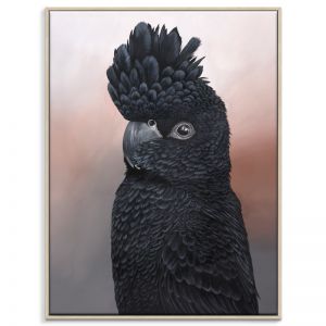 Elvis The Black Cocky | Amanda Skye-Mulder | Canvas or Print by Artist Lane