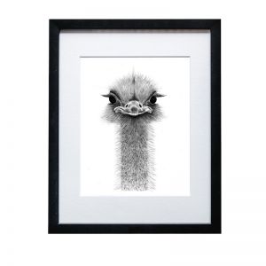 Emu | A4 Framed Print by Cathy Hamilton