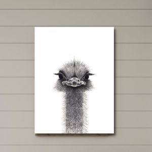 Emu | Canvas Print by Cathy Hamilton