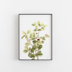 Eucalyptus Native Living Art 3 in White Art Print | by Pick a Pear | Unframed