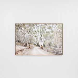 Eucalyptus Track | Framed Canvas