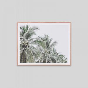 Faded Palms | Framed Photographic Print