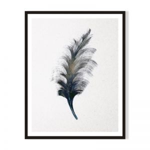 Feather 1 | Framed Print | Artefocus