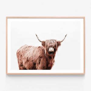 Fergus Highland Cow | Framed Print | 41 Orchard