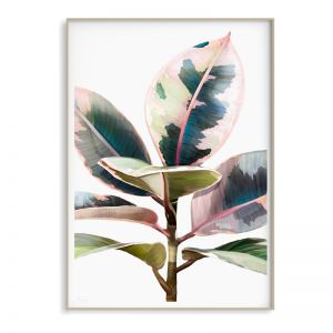 Ficus Elastica Ruby Art Print | Sara Turner