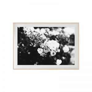 Floral I Photographic Print | Unframed