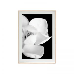 Floral II Photography Print | Unframed