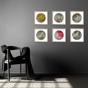 Foraged Texture Rounds | Set of 6 Art prints |Unframed