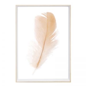 Freefall Feather | Framed Art Print