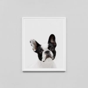French Bulldog | Framed Print