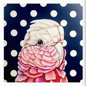 Galah | Art Print by Kylie Cuthbertson 50x50cm