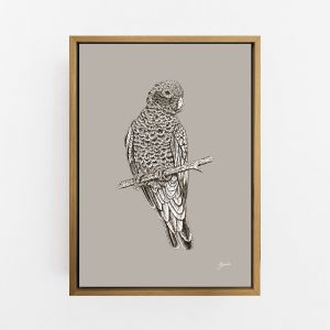 Galah in Pine Cone |  Framed or Unframed Canvas