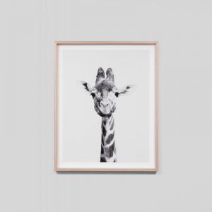 Giraffe Portrait | Framed Print