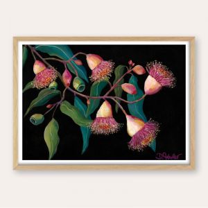 Glorious Gum Blossoms | Unframed Fine Art Print