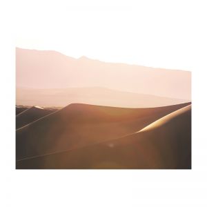 Gold Dunes | Rolled Art Print | Various Sizes