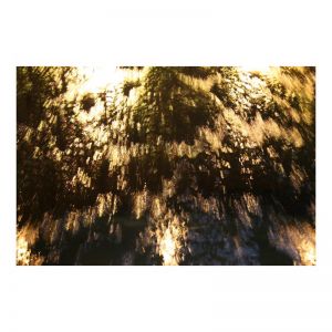 Gold | Framed Photographic Print or Canvas | By Ron Molnar
