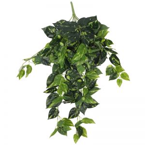Heart Leaf Philodendron Hanging Creeper Bush 78cm