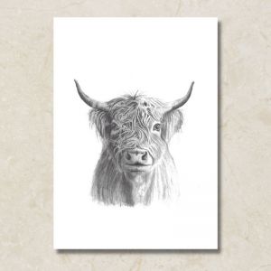 Highland Cow | Canvas Print by Cathy Hamilton