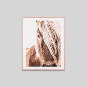 Highland Equine | Framed Photographic Print