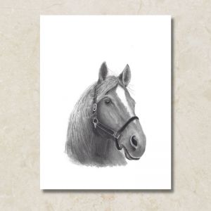 Horse | Canvas Print by Cathy Hamilton
