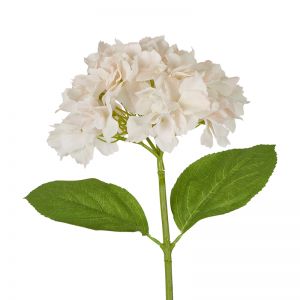 Hydrangea Stem | 50cm | White Pink 6 x Stems