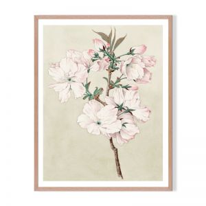 Japanese Botanical 3 | Framed Art Print | Artefocus