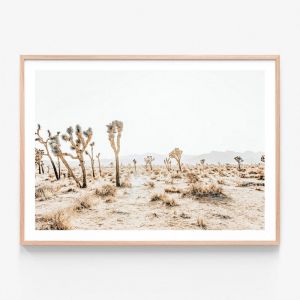 Joshua Tree 5 | Framed Print | 41 Orchard