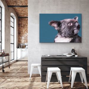 Koala Blue | Wall Art or Canvas Print