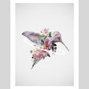 Kolibri by Daniel Taylor | Unframed Art Print
