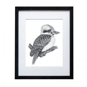 Kookaburra | A4 Framed Print by Cathy Hamilton