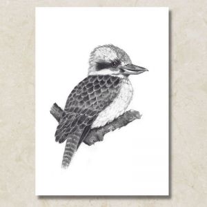 Kookaburra | Canvas Print by Cathy Hamilton