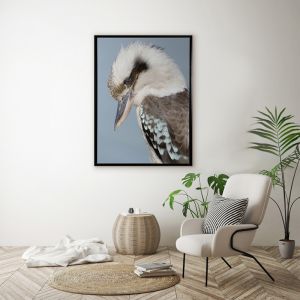 Kookaburra | Framed Canvas Art Print