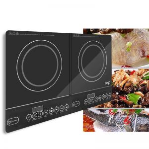 LED Electric Portable Induction Cooktop | Double Burner