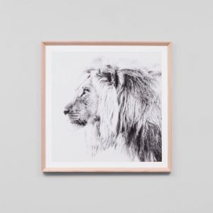 Lion Portrait | Framed Print