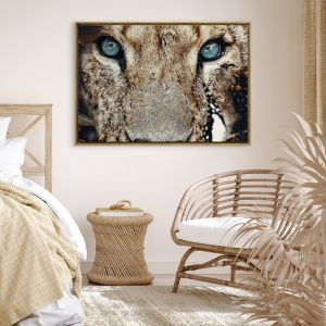 Lioness | Framed Canvas Art Print