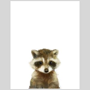 Little Raccoon by Amy Hamilton | Unframed Art Print