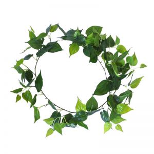 Long Philodendron Garland | 190cm