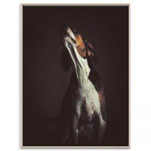 Loyalty | Prints and Canvas by Photographers Lane