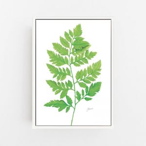 Lush Fern Living in Green Wall Art Print | by Pick a Pear | Canvas