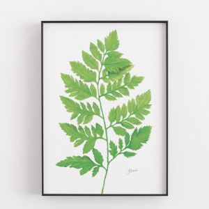 Lush Fern Living in Green Wall Art Print | by Pick a Pear | Unframed