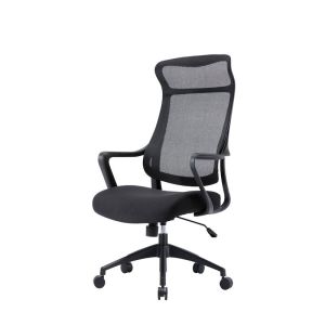 Lyman Mesh Ergonomic Office Chair | Black