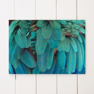Macaw Feathers | Unframed A3 Print by Amelia Anderson